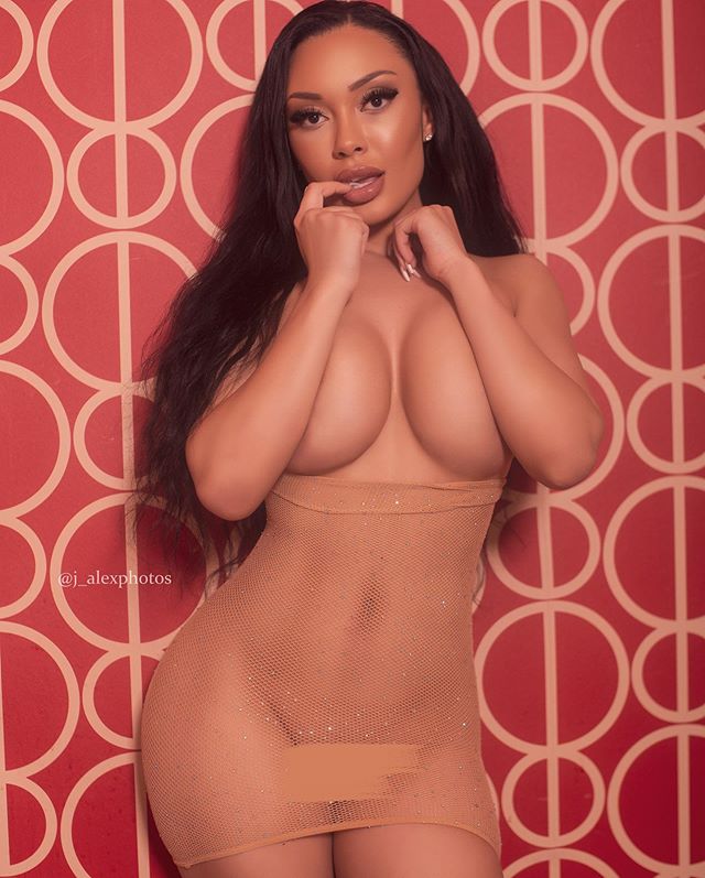DynastySeries.com