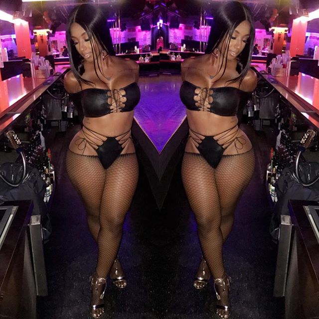 DynastySeries.com