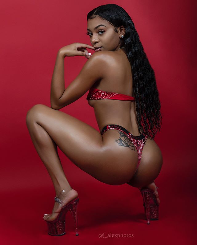 DynastySeries.com