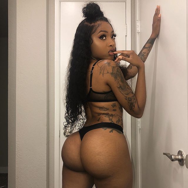 DynastySeries.com