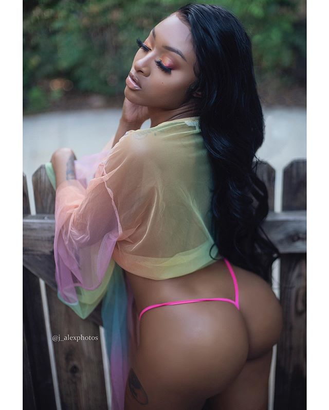 DynastySeries.com