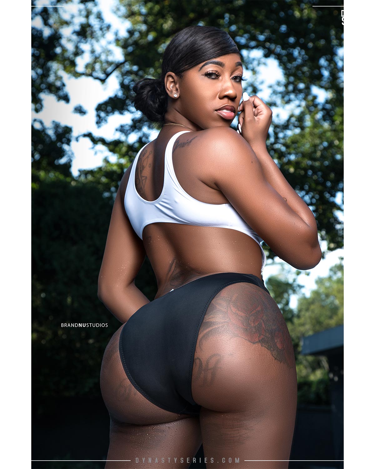 DynastySeries.com