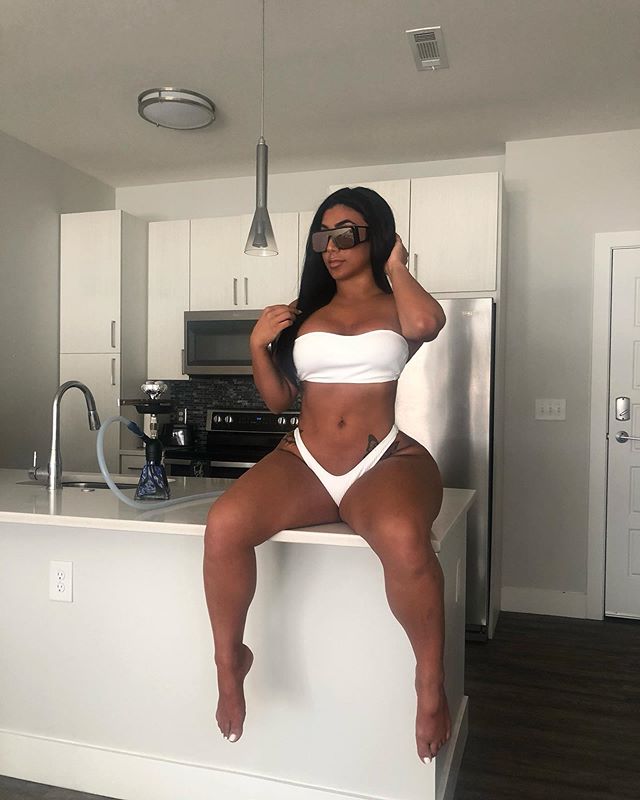 DynastySeries.com