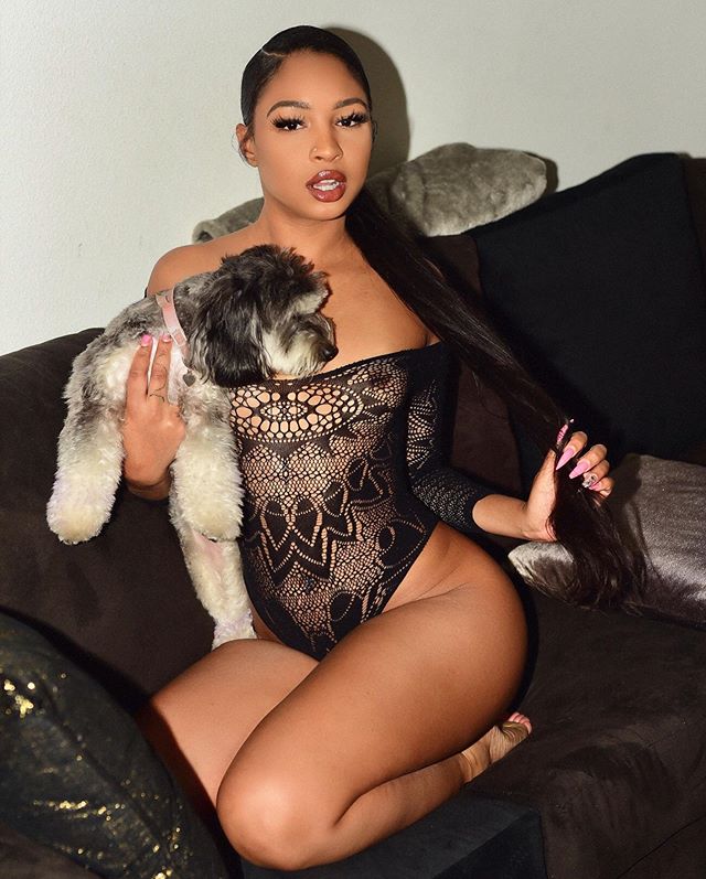 DynastySeries.com