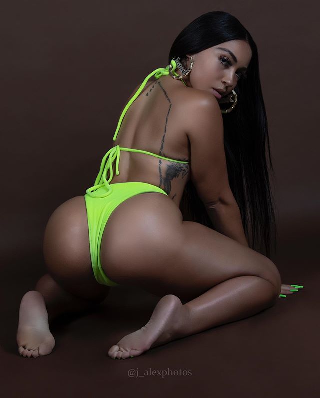 DynastySeries.com