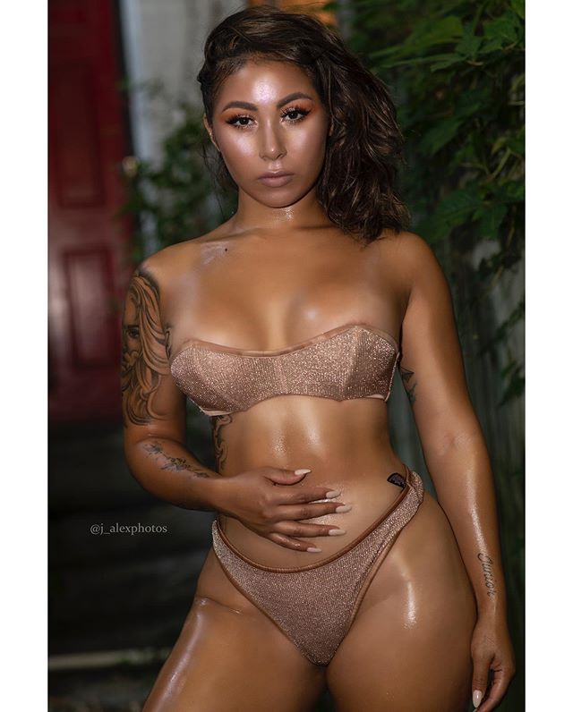 DynastySeries.com