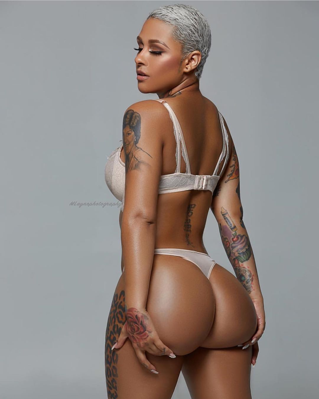 DynastySeries.com