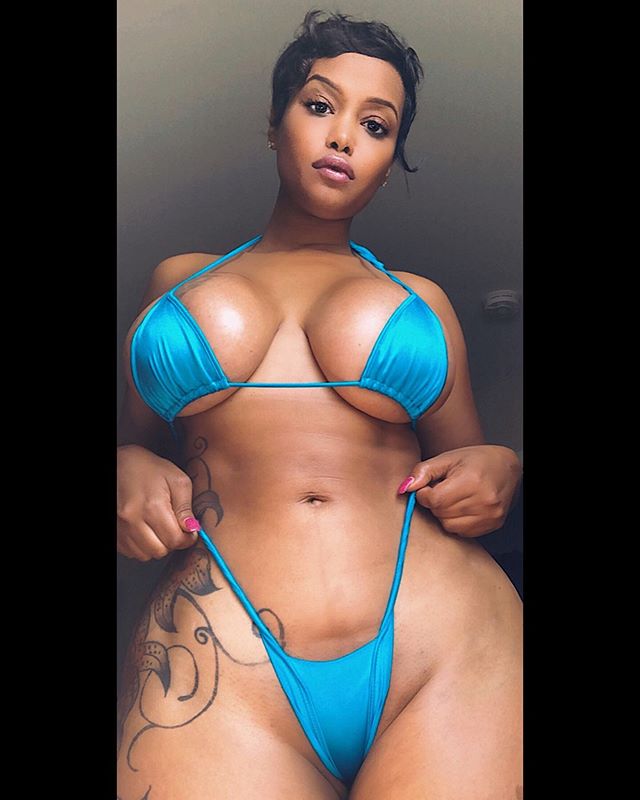 DynastySeries.com