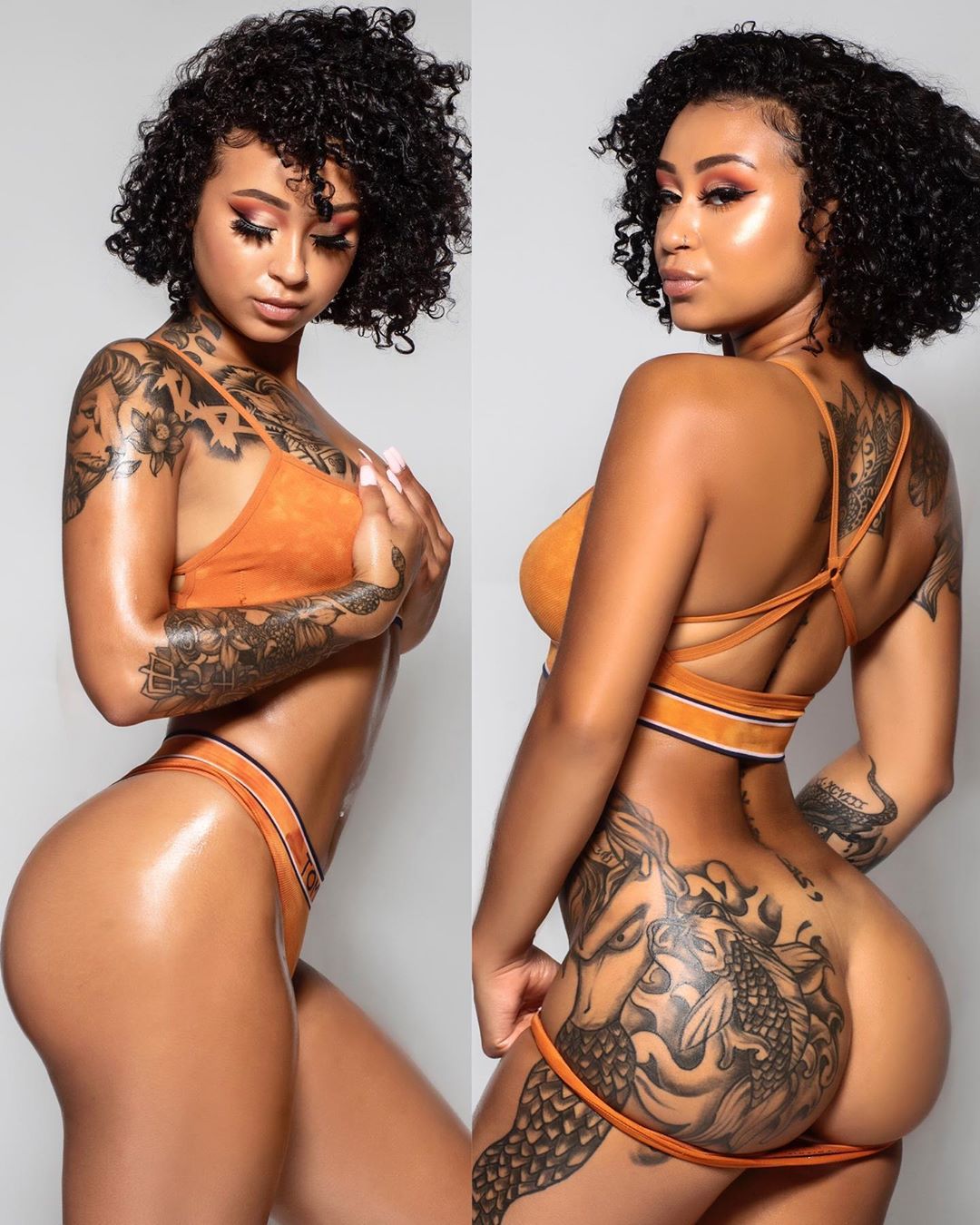 DynastySeries.com