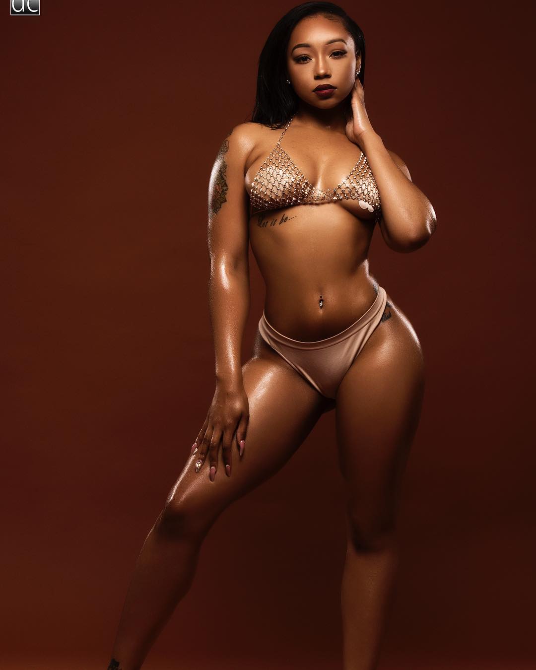 DynastySeries.com