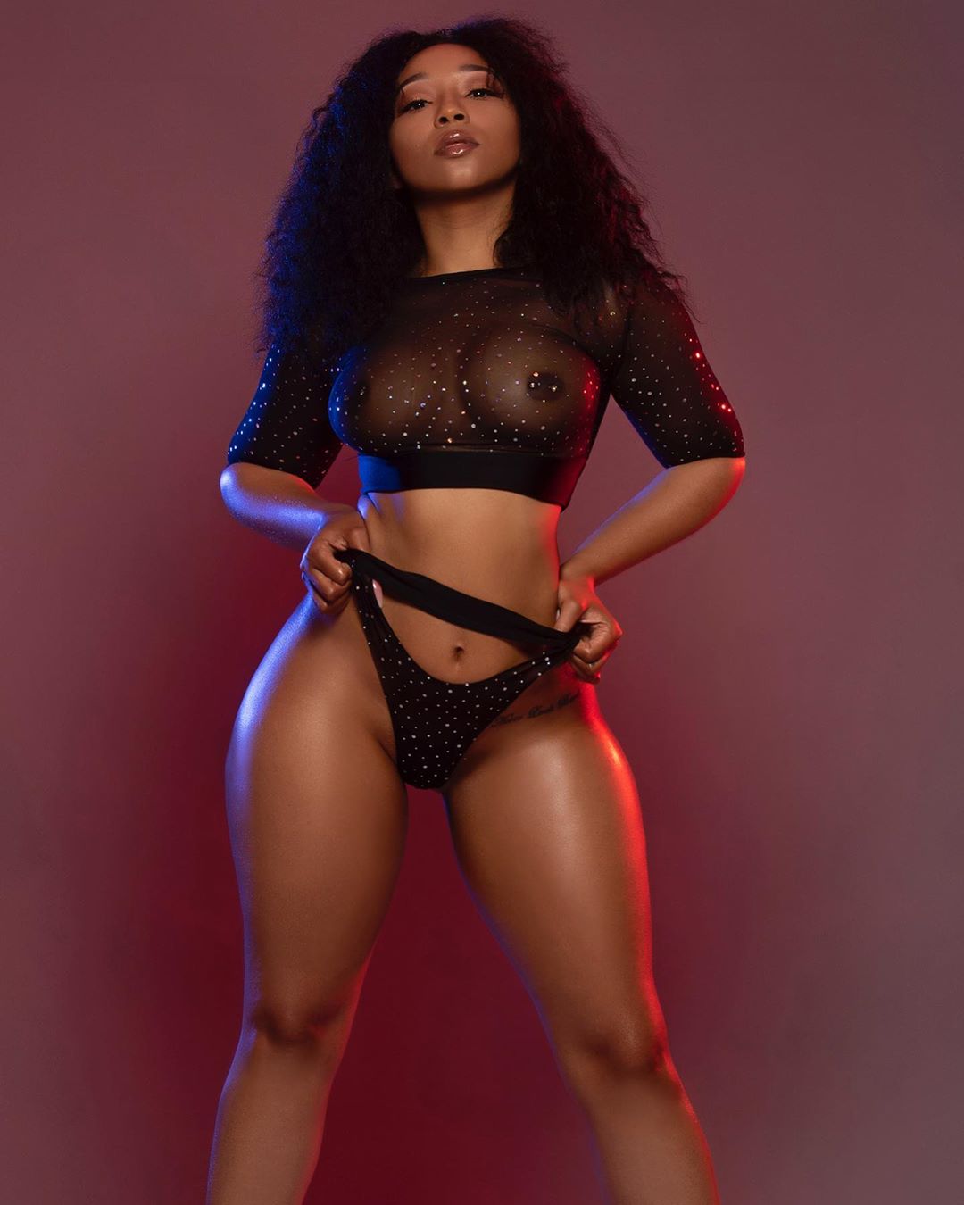 DynastySeries.com