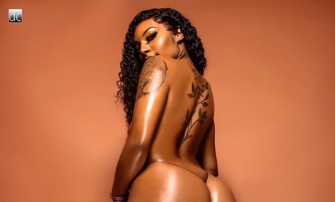 DynastySeries.com