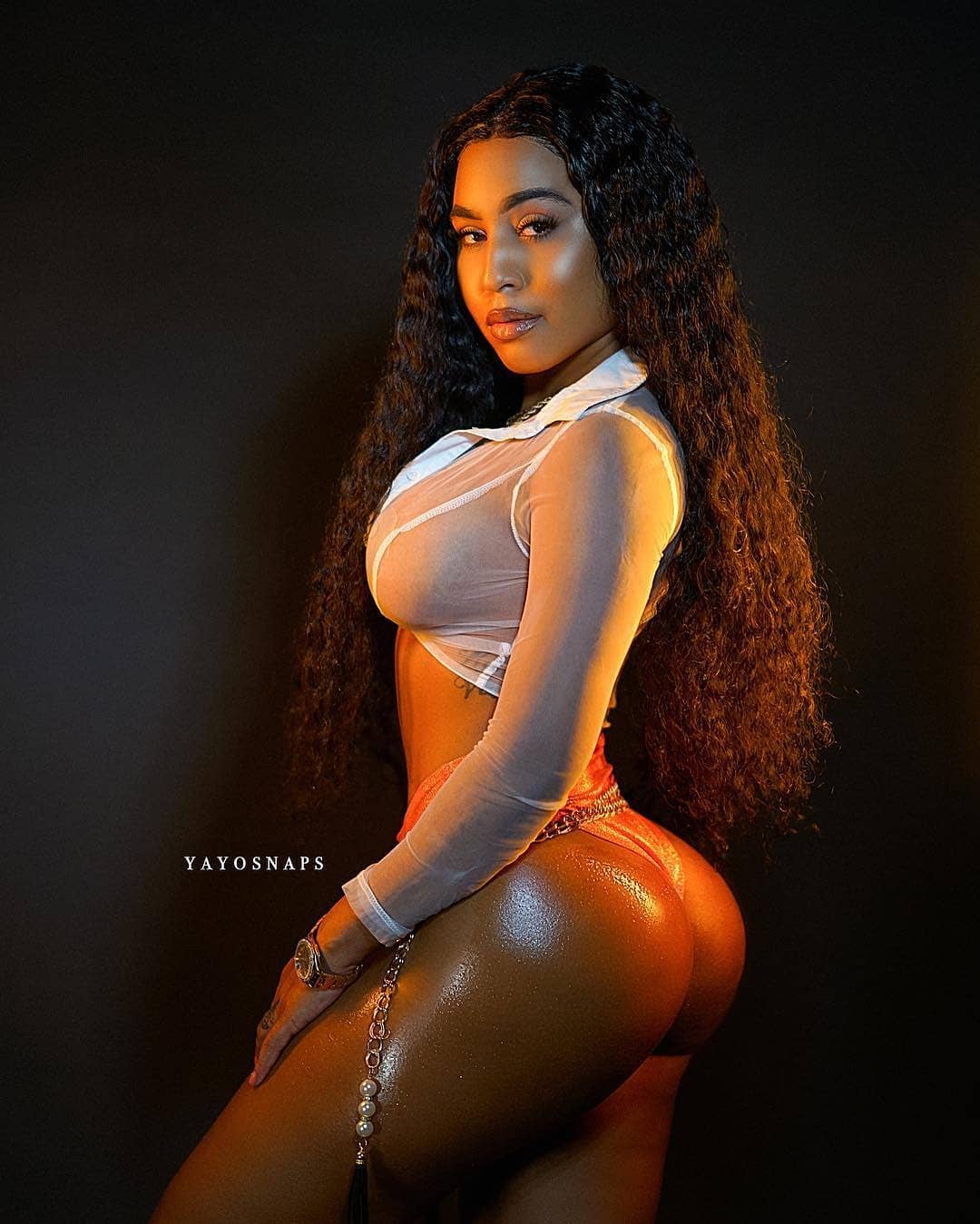 DynastySeries.com