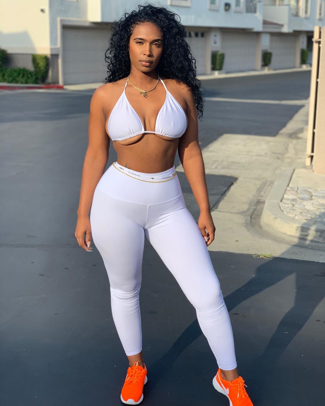 DynastySeries.com