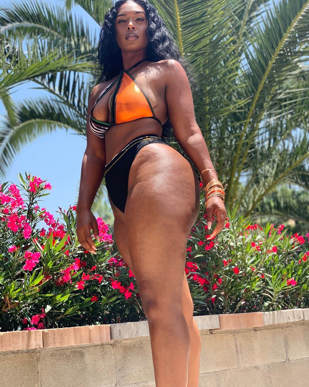 DynastySeries.com