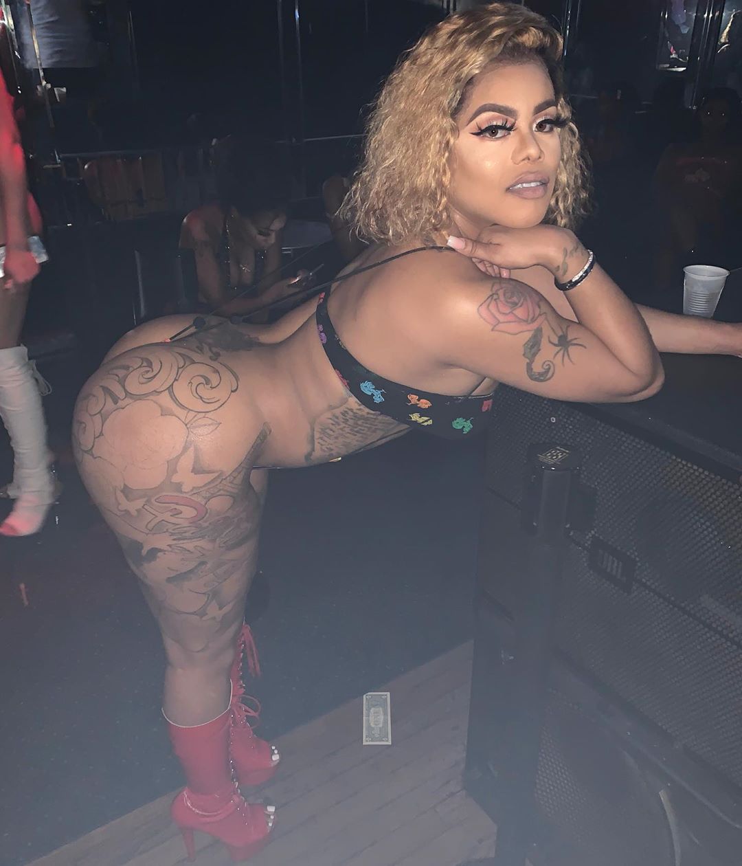DynastySeries.com