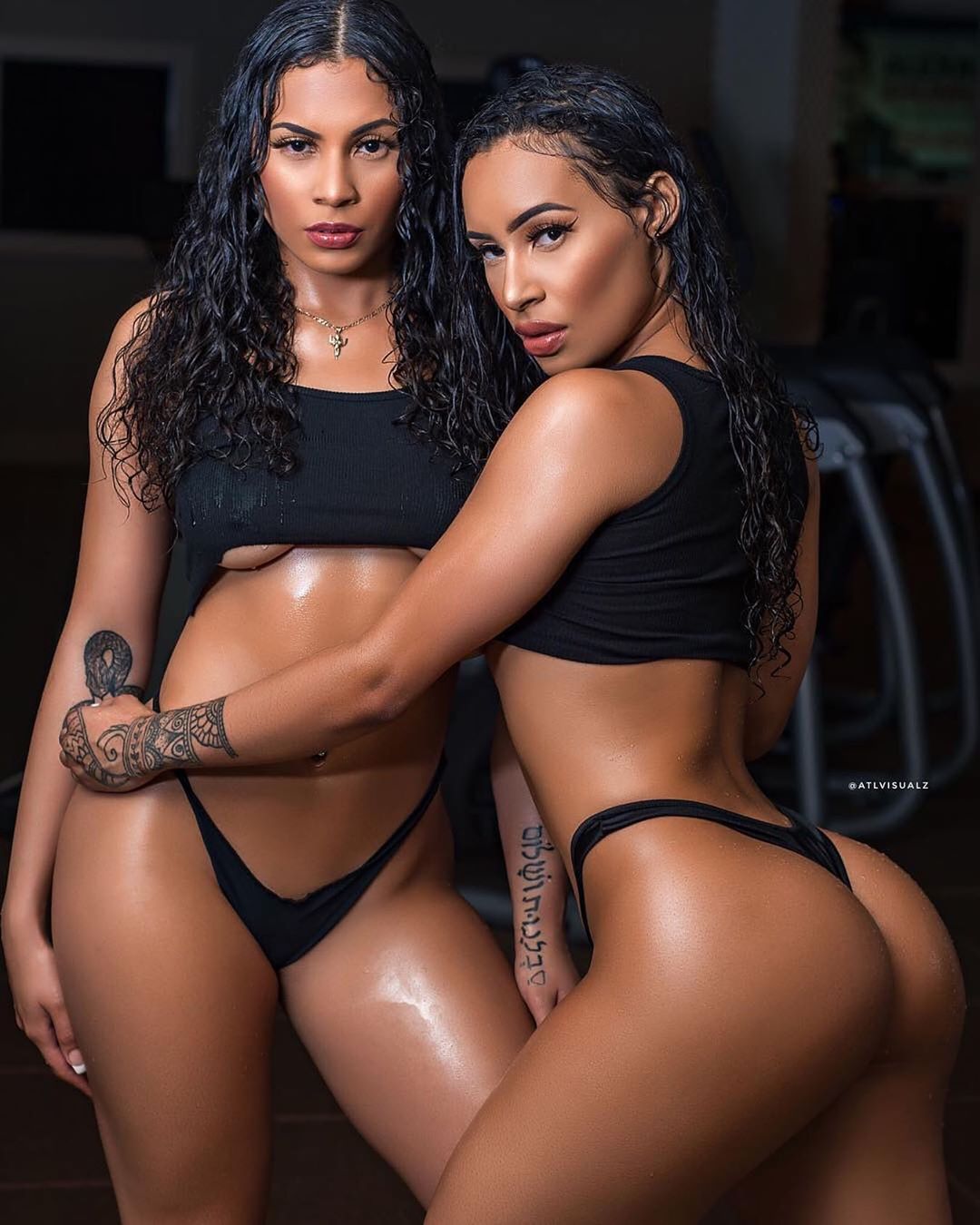 DynastySeries.com