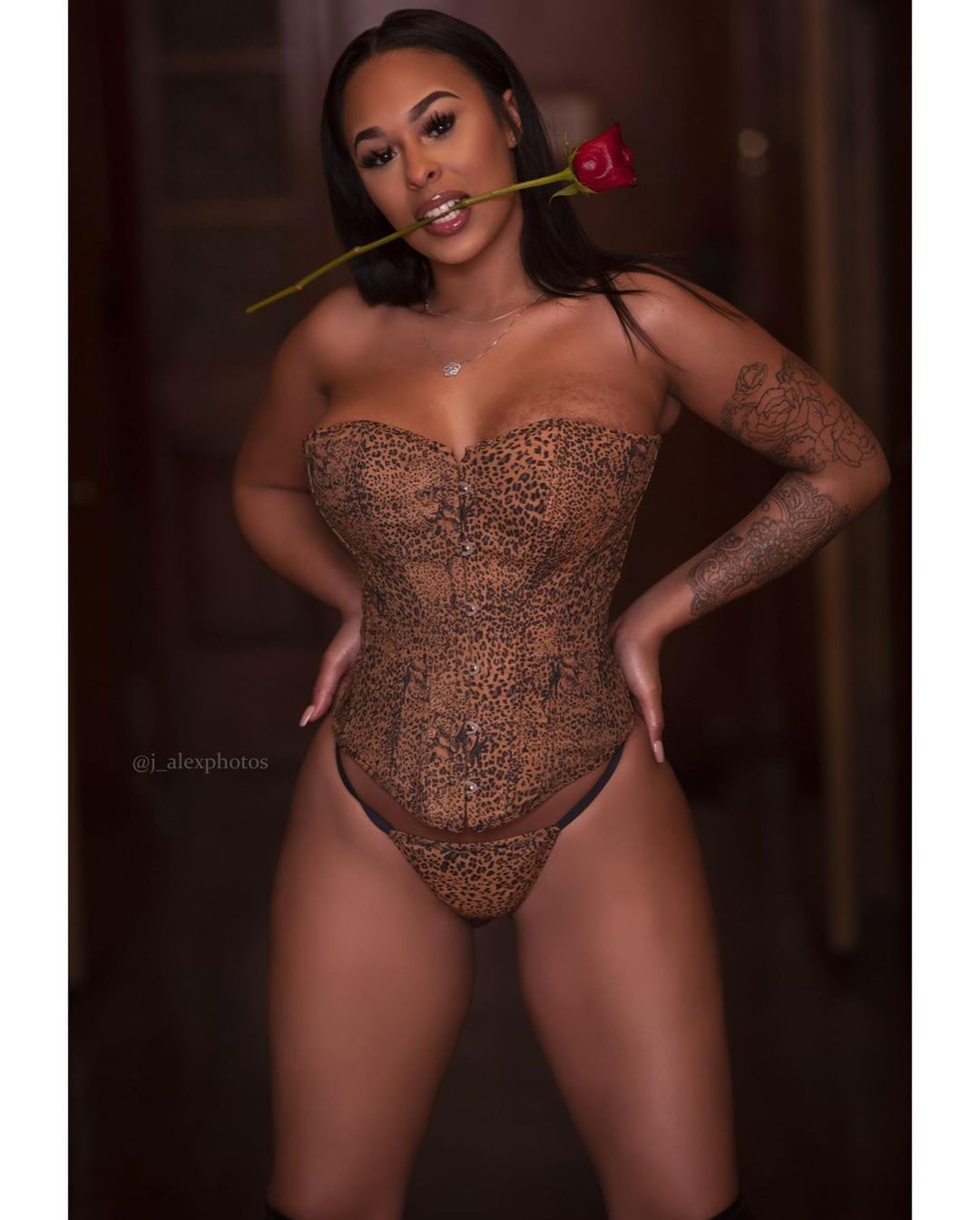 DynastySeries.com