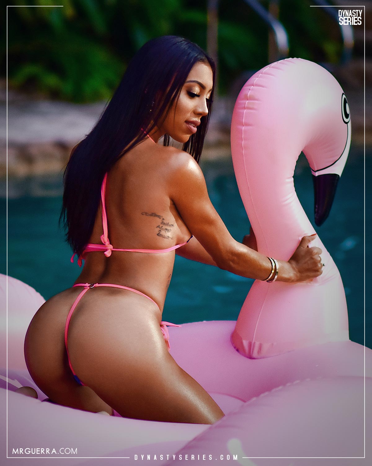 DynastySeries.com