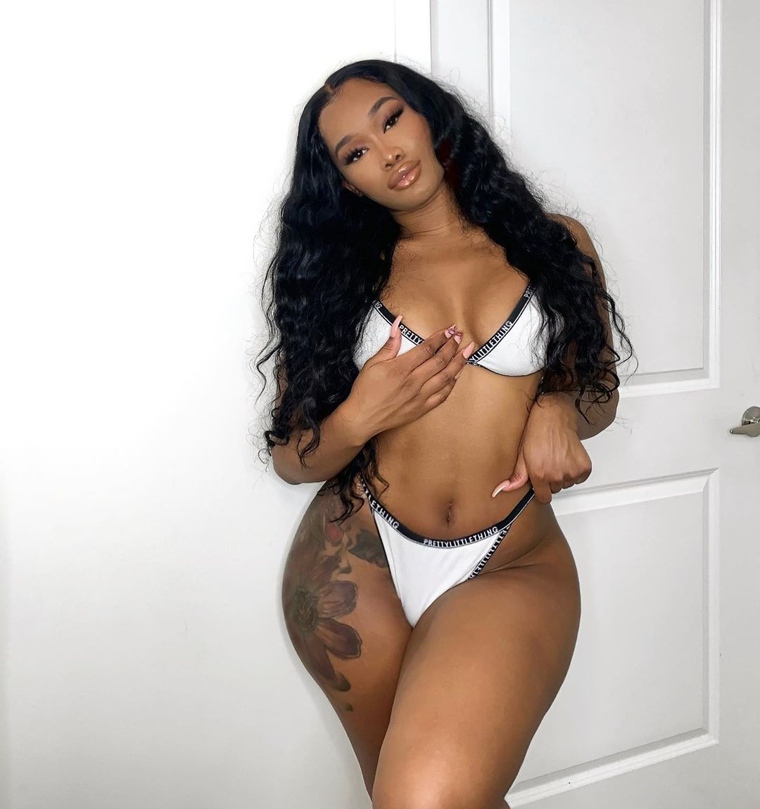 DynastySeries.com