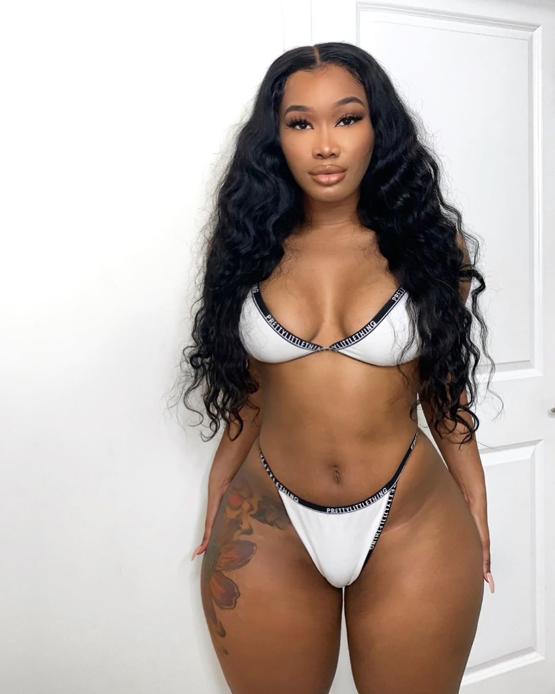 DynastySeries.com