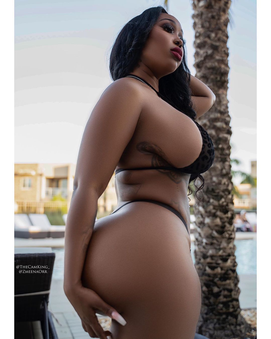 DynastySeries.com