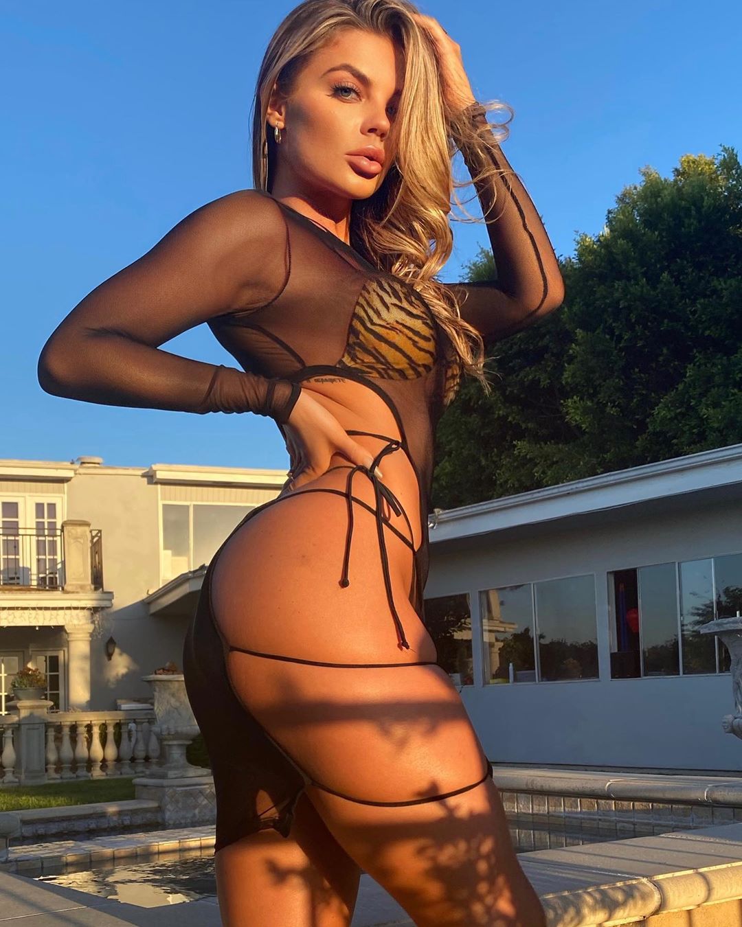 DynastySeries.com