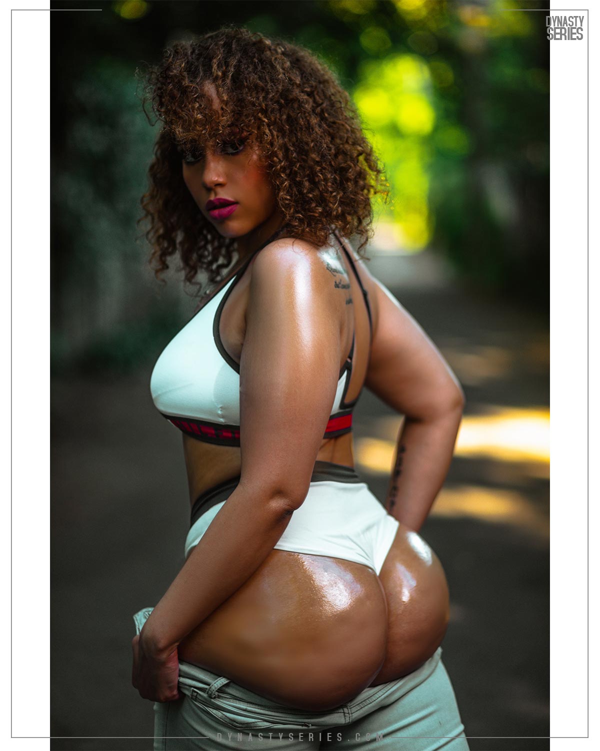 DynastySeries.com