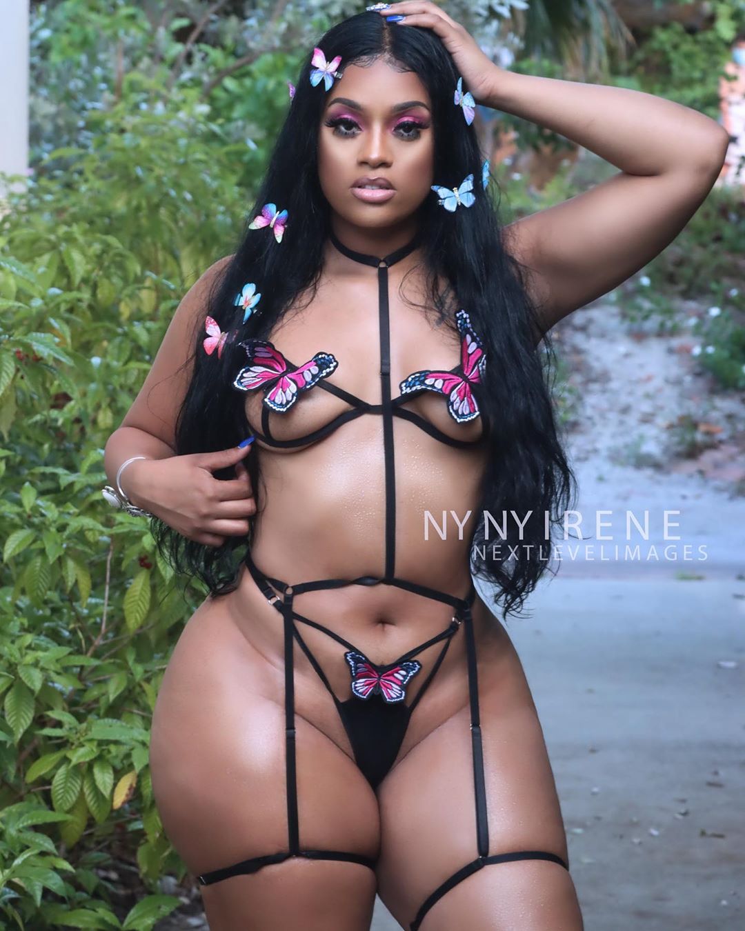 DynastySeries.com