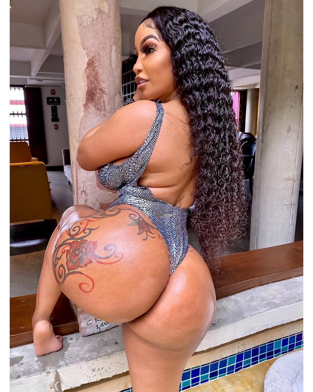 DynastySeries.com