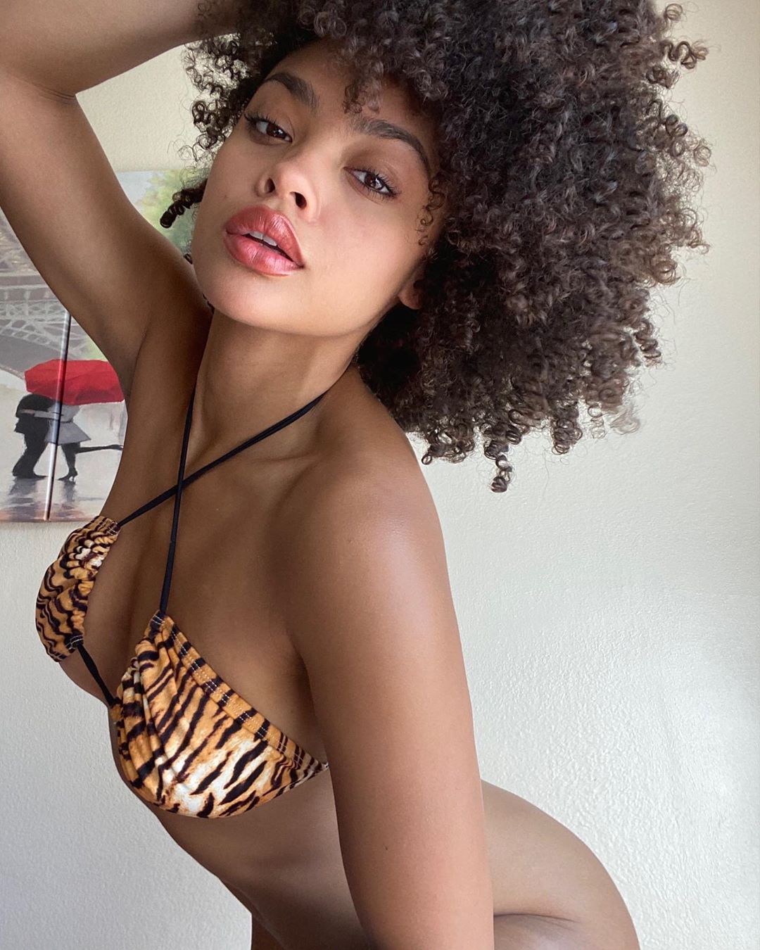 DynastySeries.com