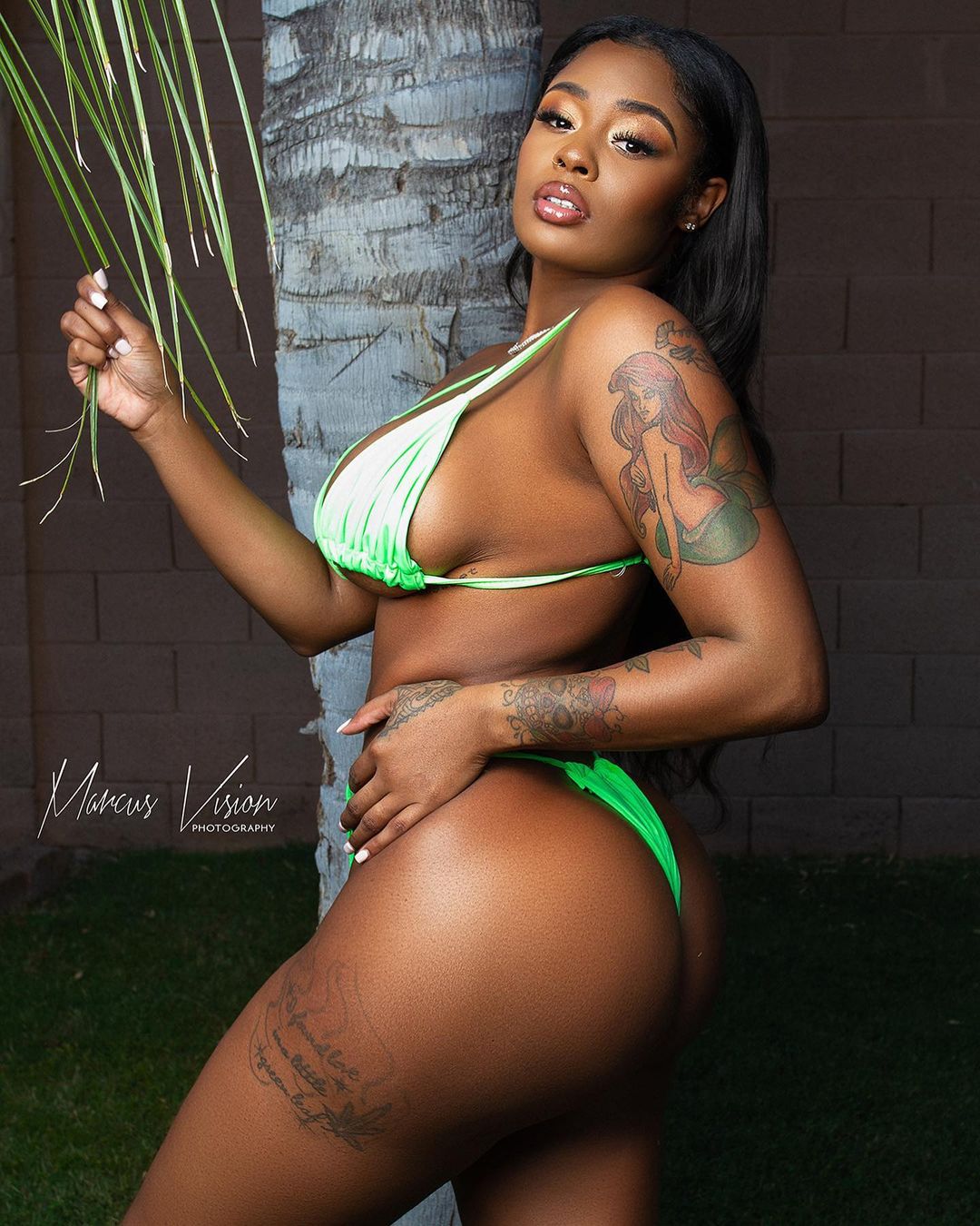 DynastySeries.com