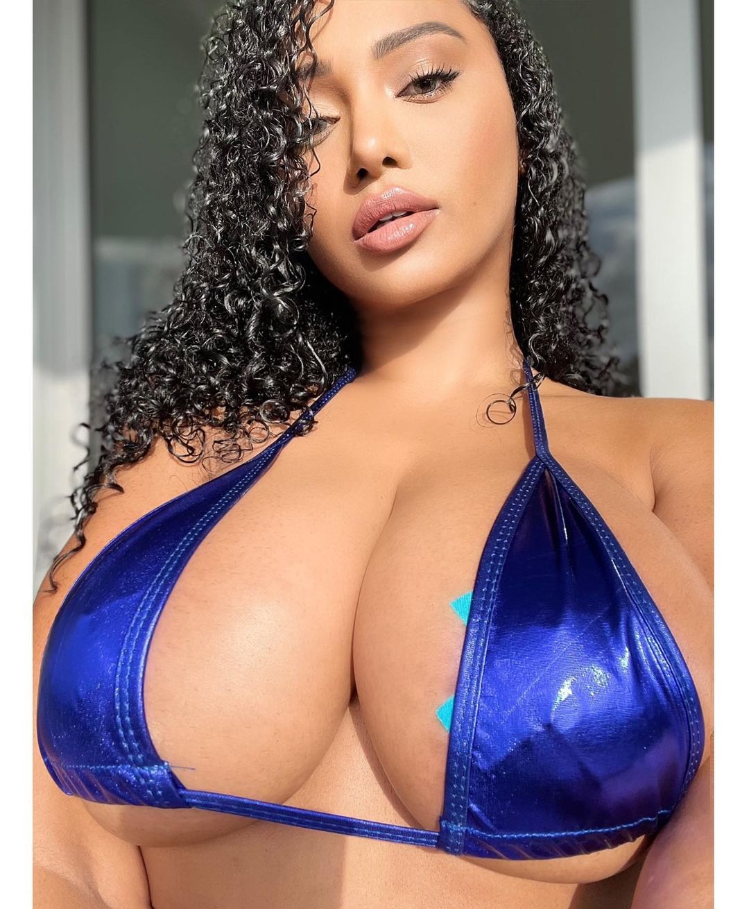 DynastySeries.com