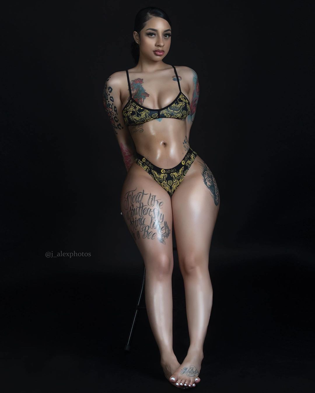 DynastySeries.com