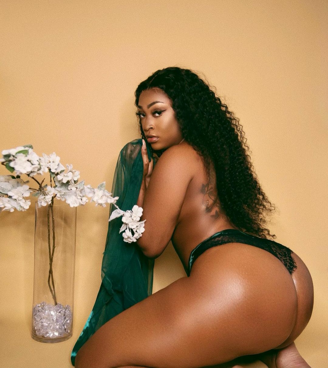 DynastySeries.com