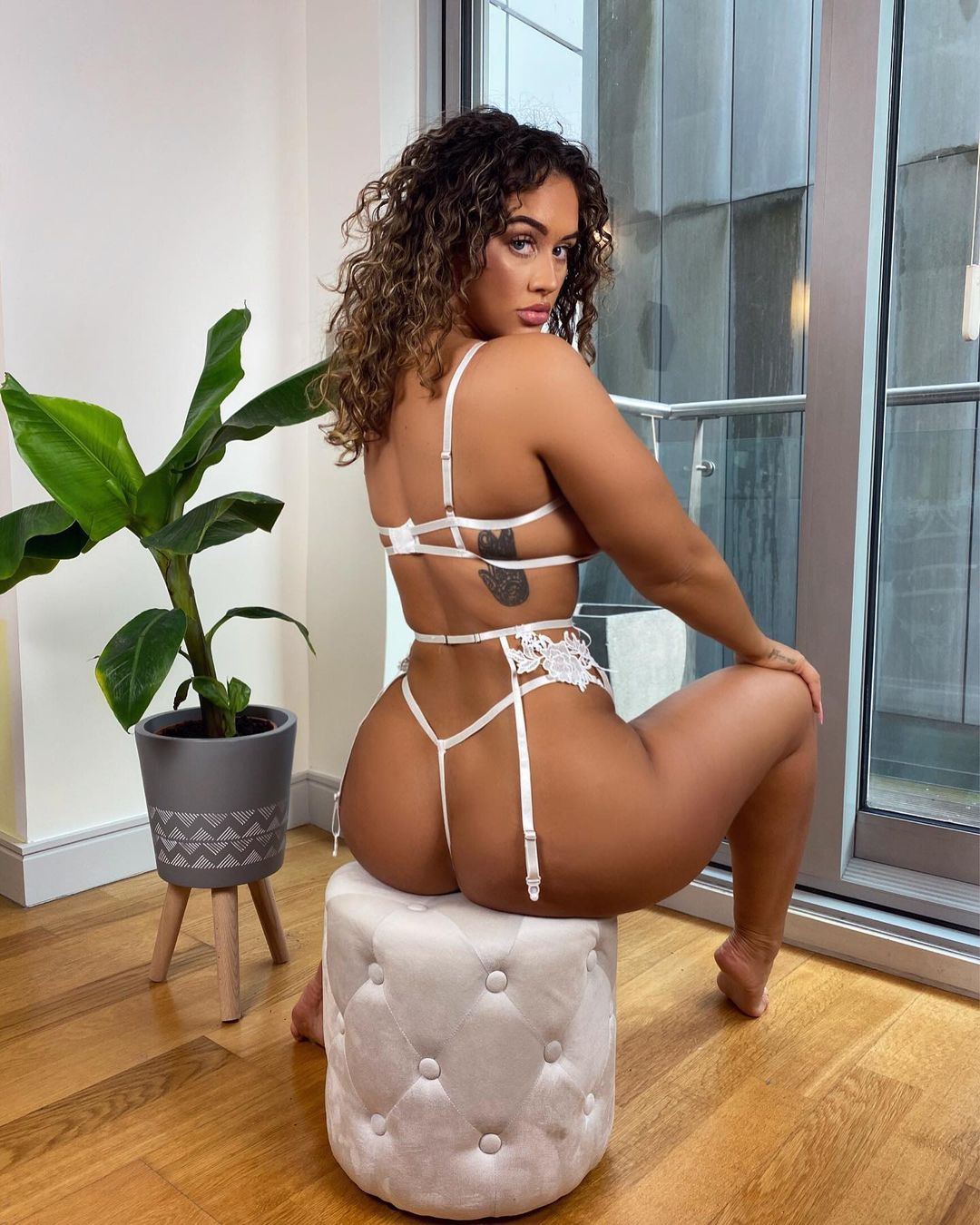 DynastySeries.com