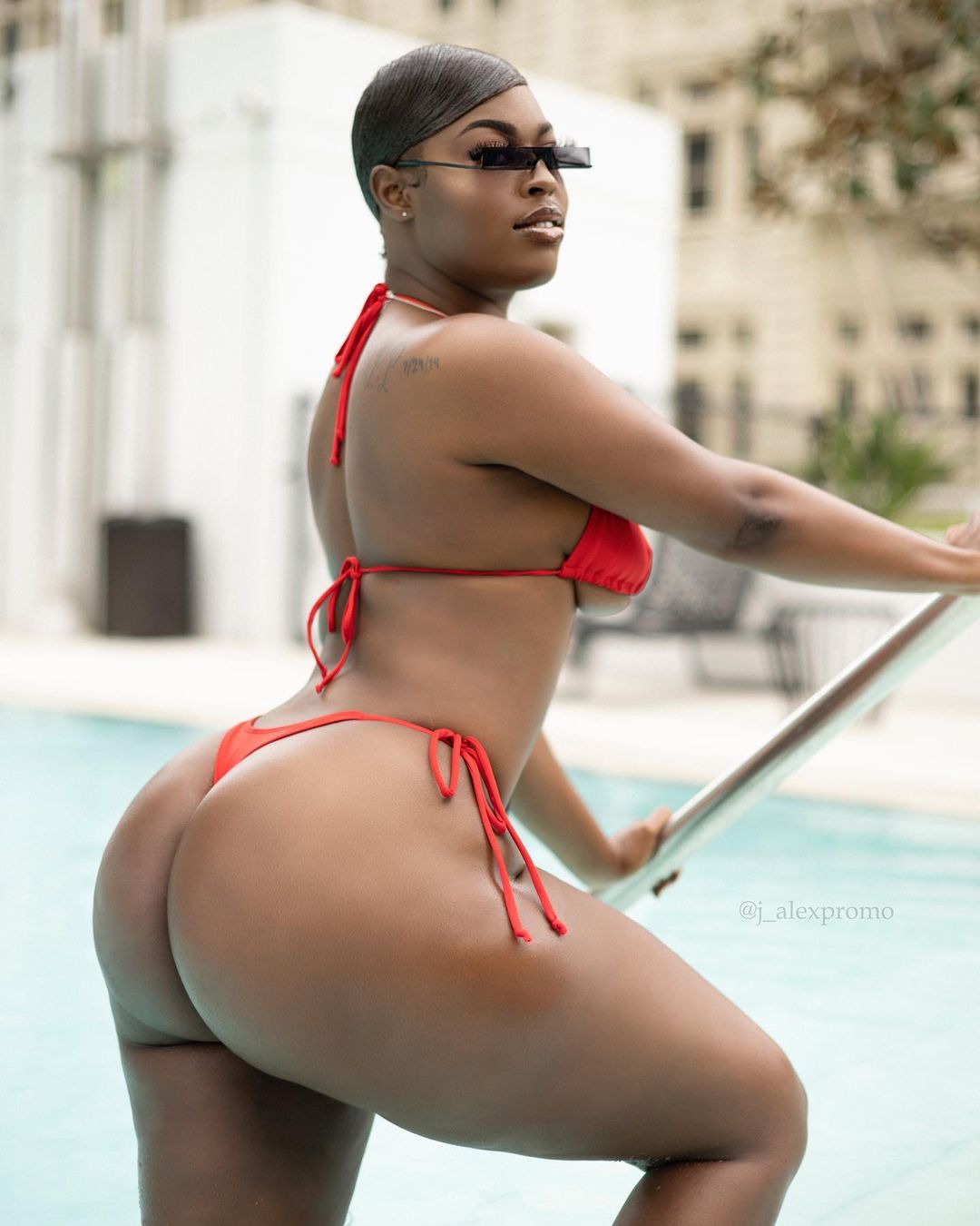 DynastySeries.com