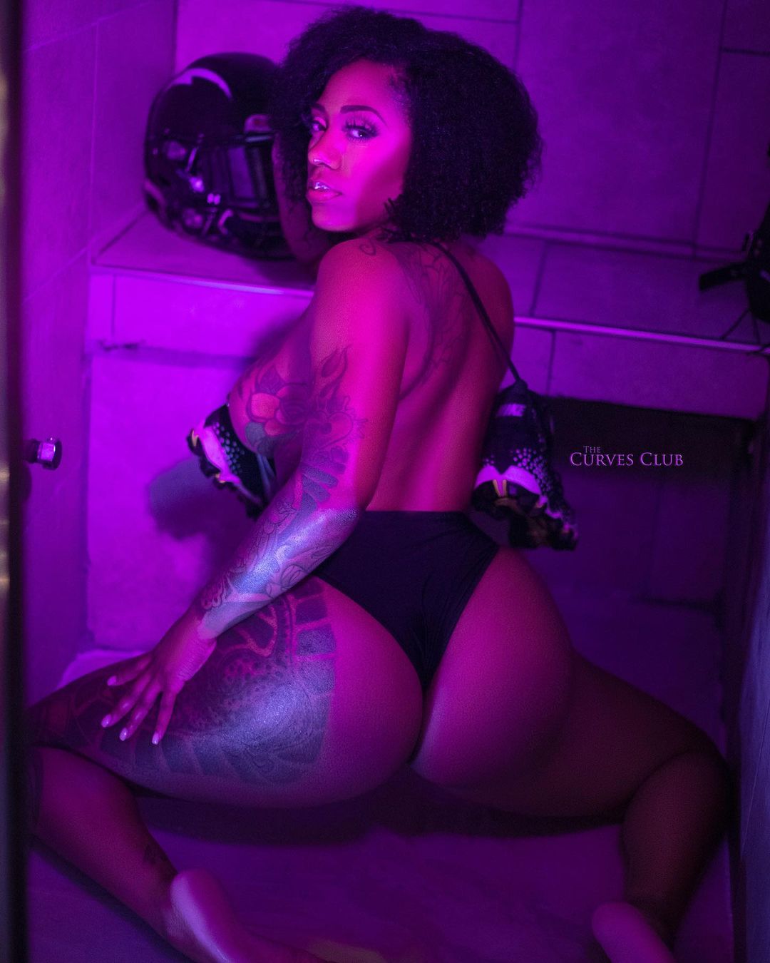 DynastySeries.com