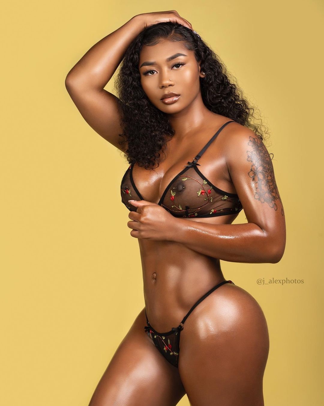 DynastySeries.com