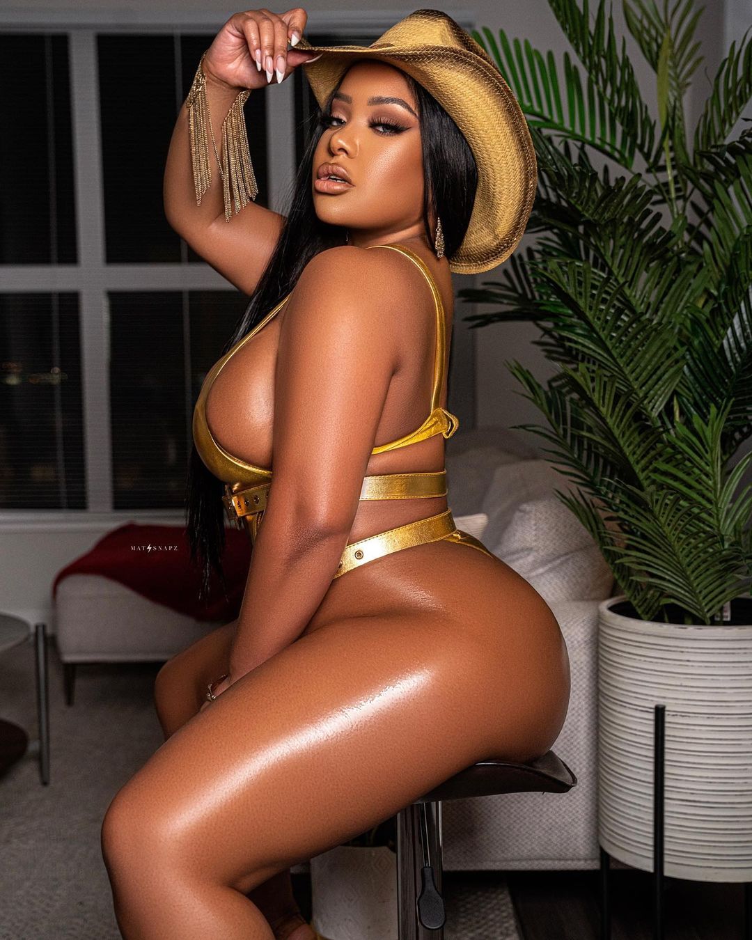 DynastySeries.com