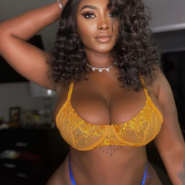 DynastySeries.com