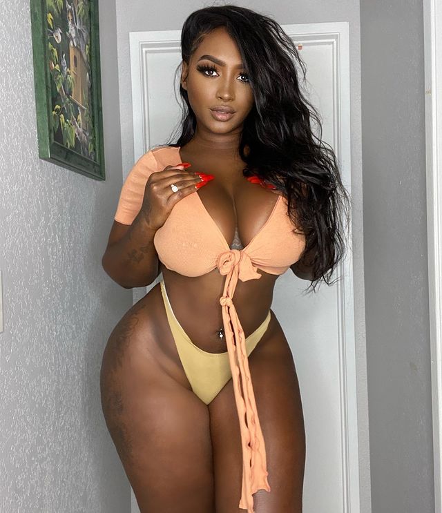 DynastySeries.com