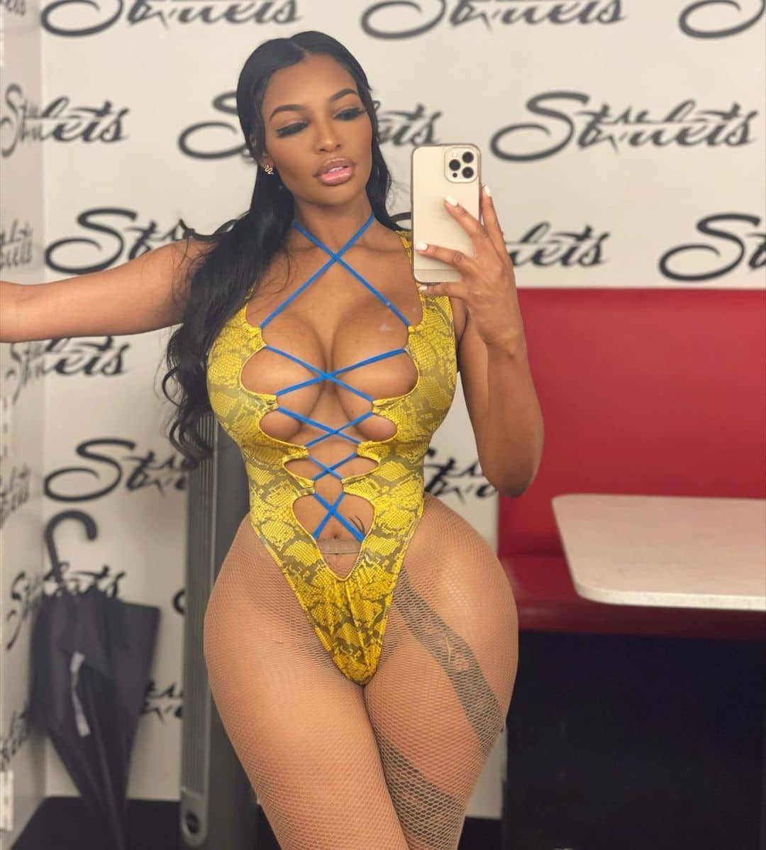 DynastySeries.com