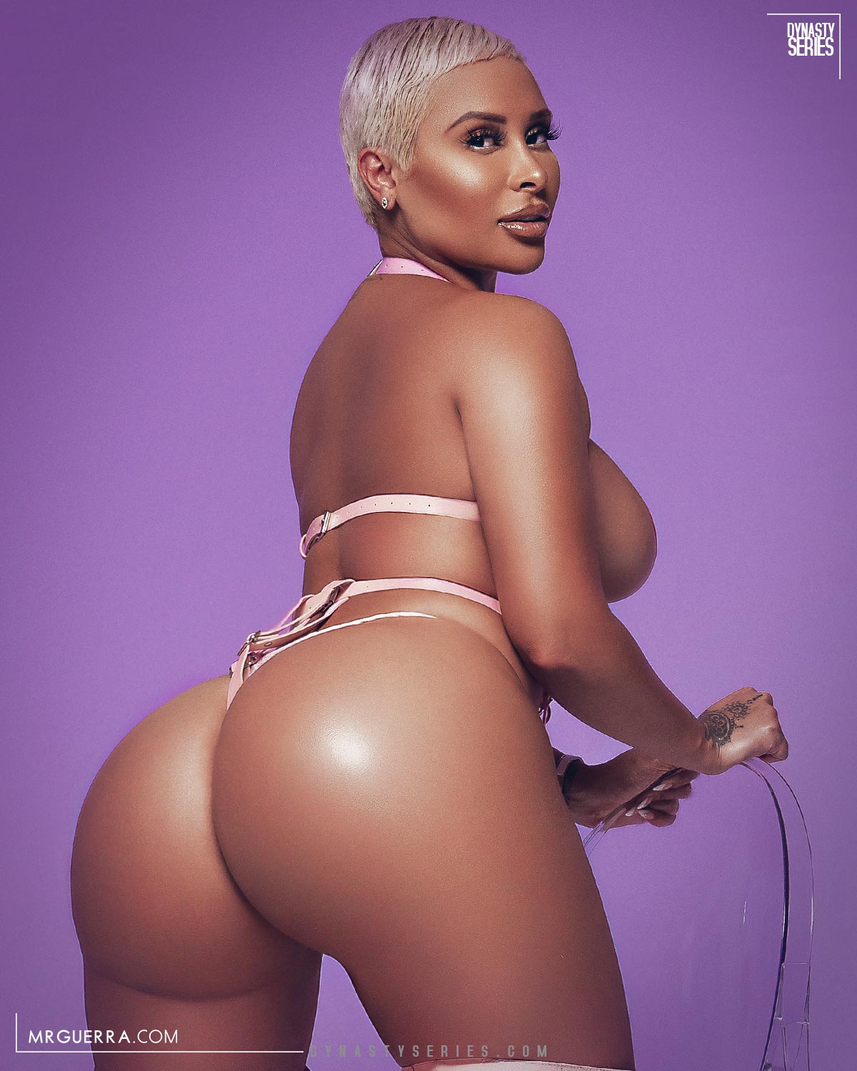 DynastySeries.com