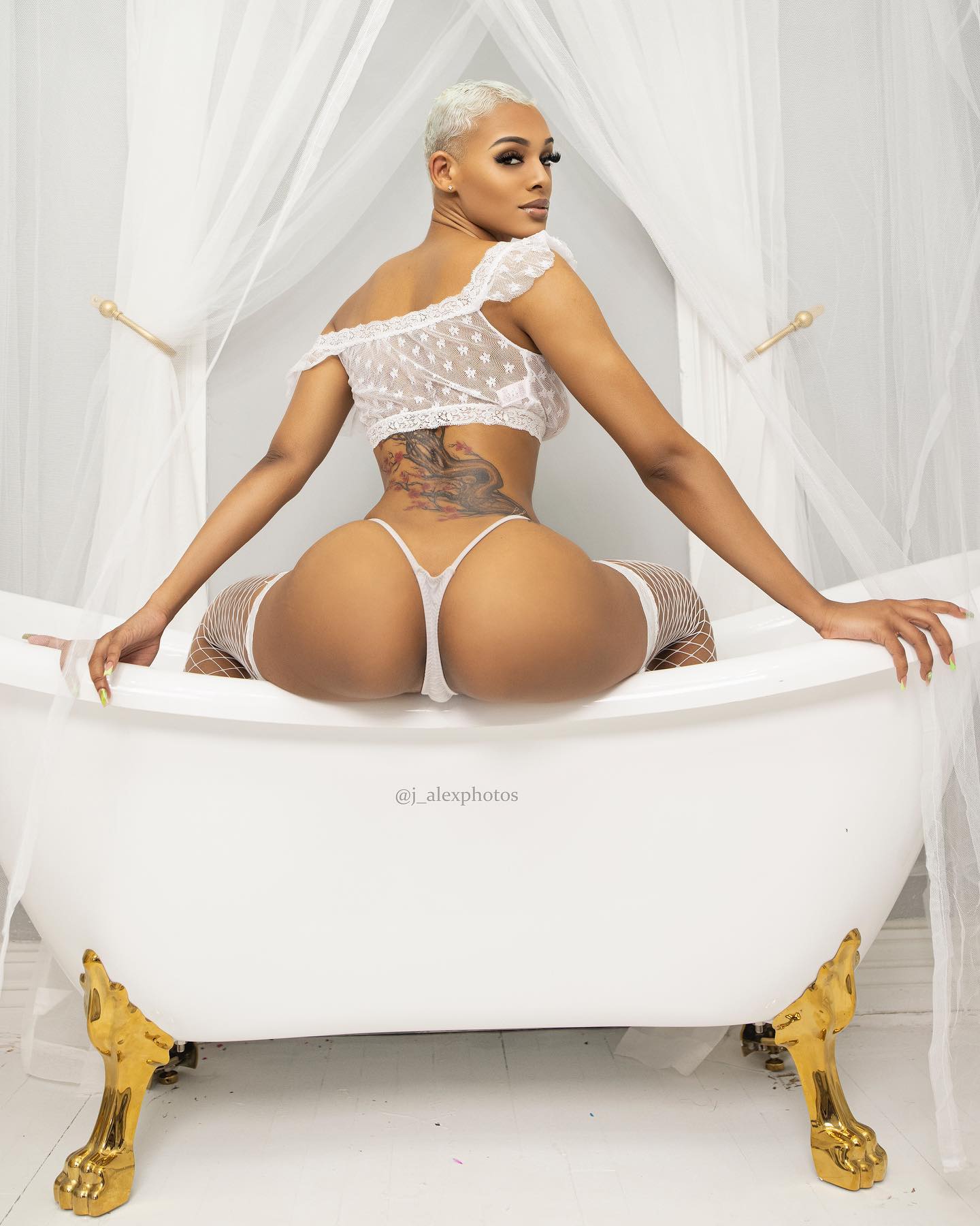 DynastySeries.com