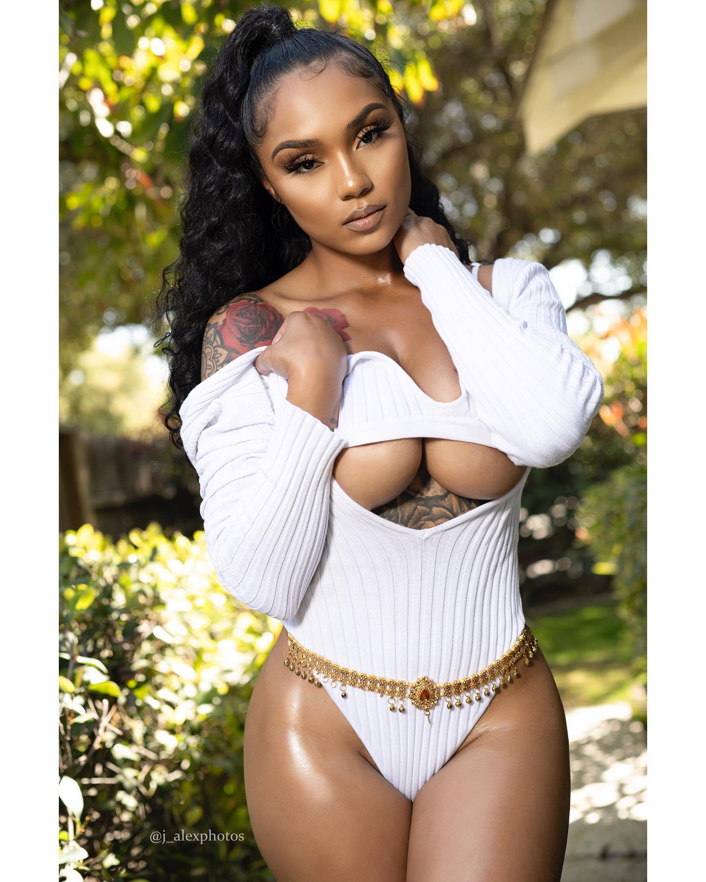 DynastySeries.com