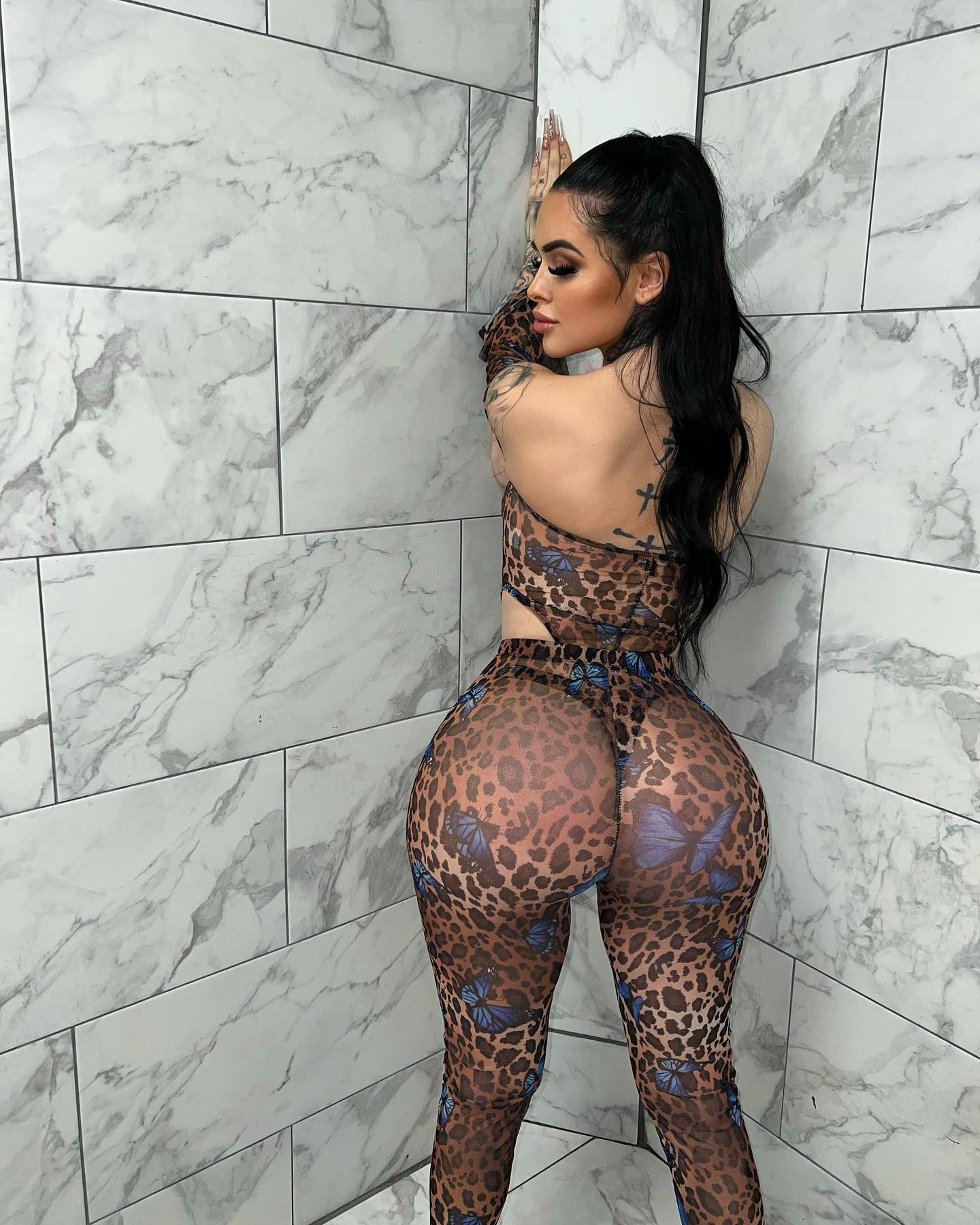 DynastySeries.com