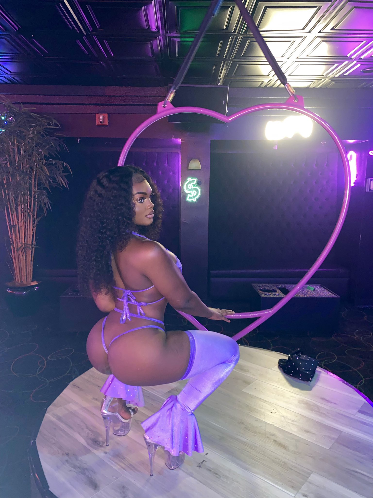 DynastySeries.com