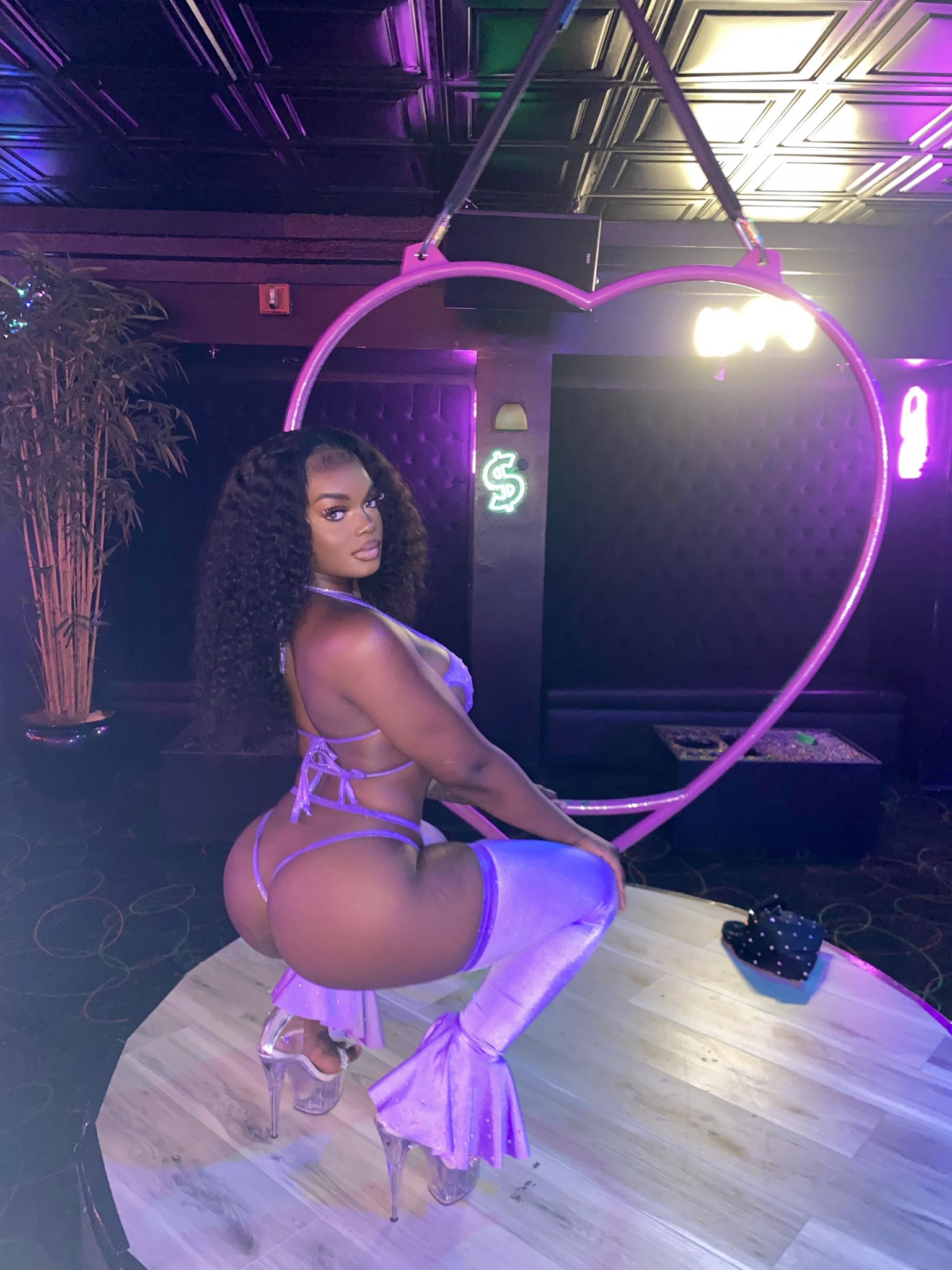 DynastySeries.com