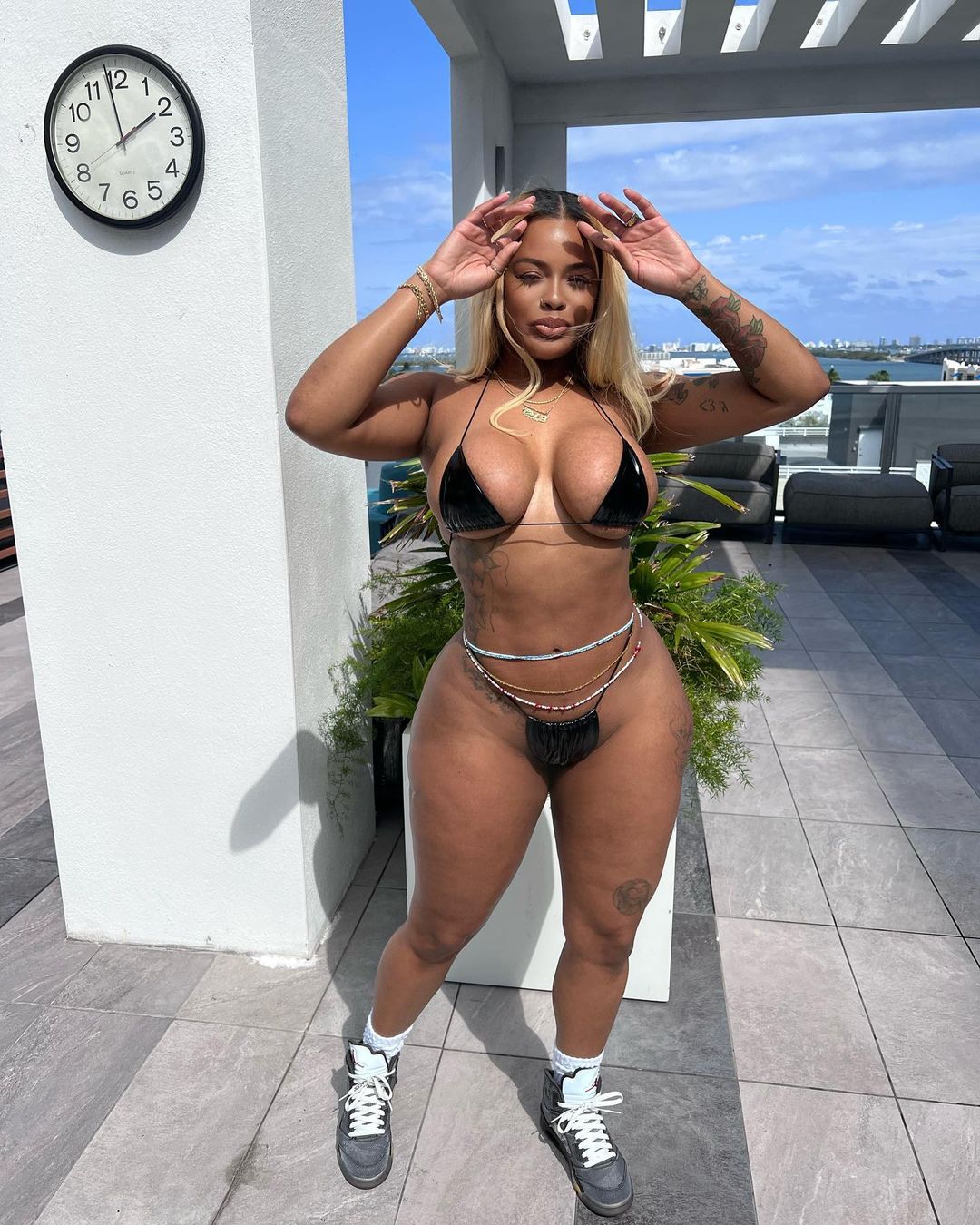 DynastySeries.com